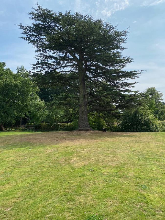 Coundon Lodge Coventry Dış mekan fotoğraf