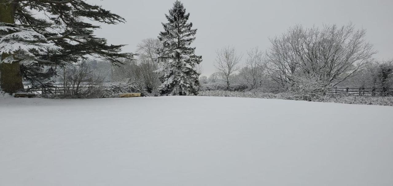 Coundon Lodge Coventry Dış mekan fotoğraf