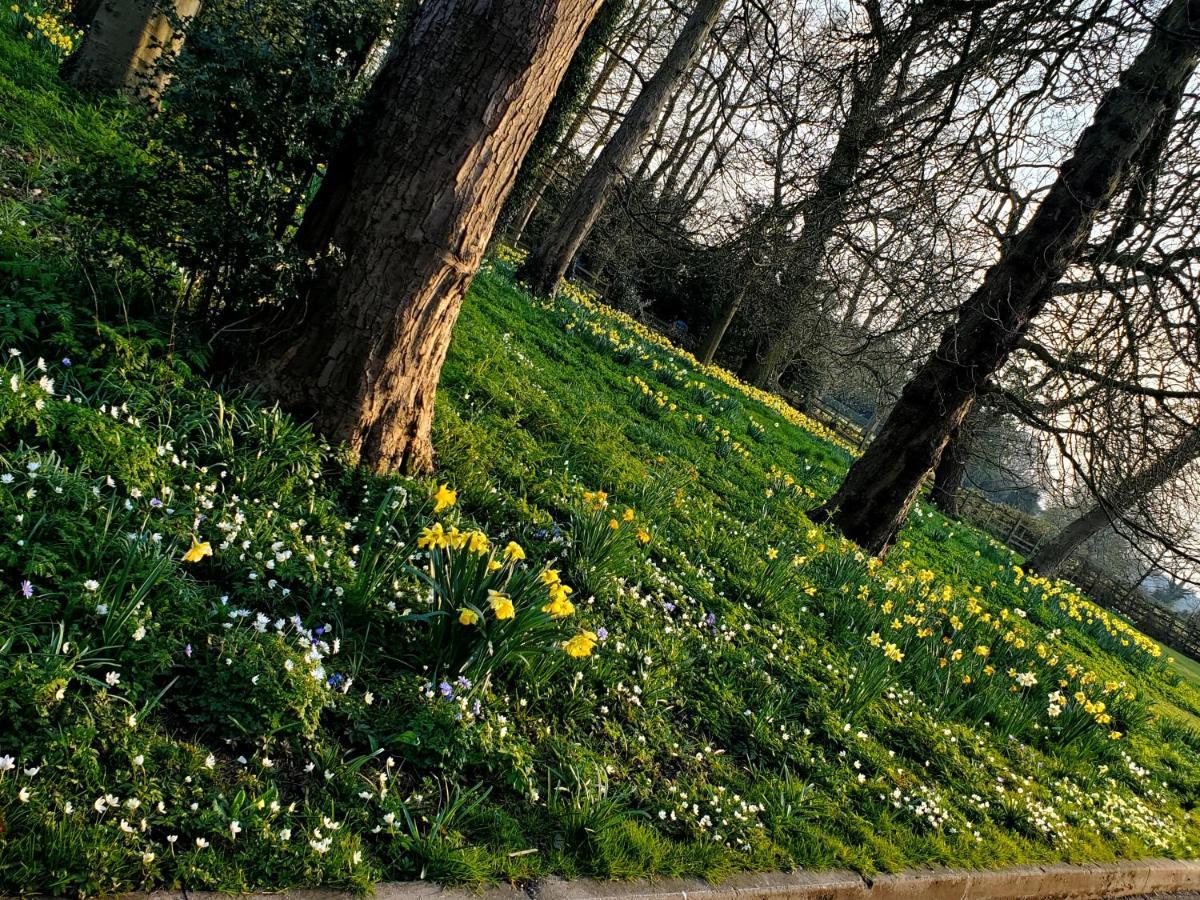 Coundon Lodge Coventry Dış mekan fotoğraf