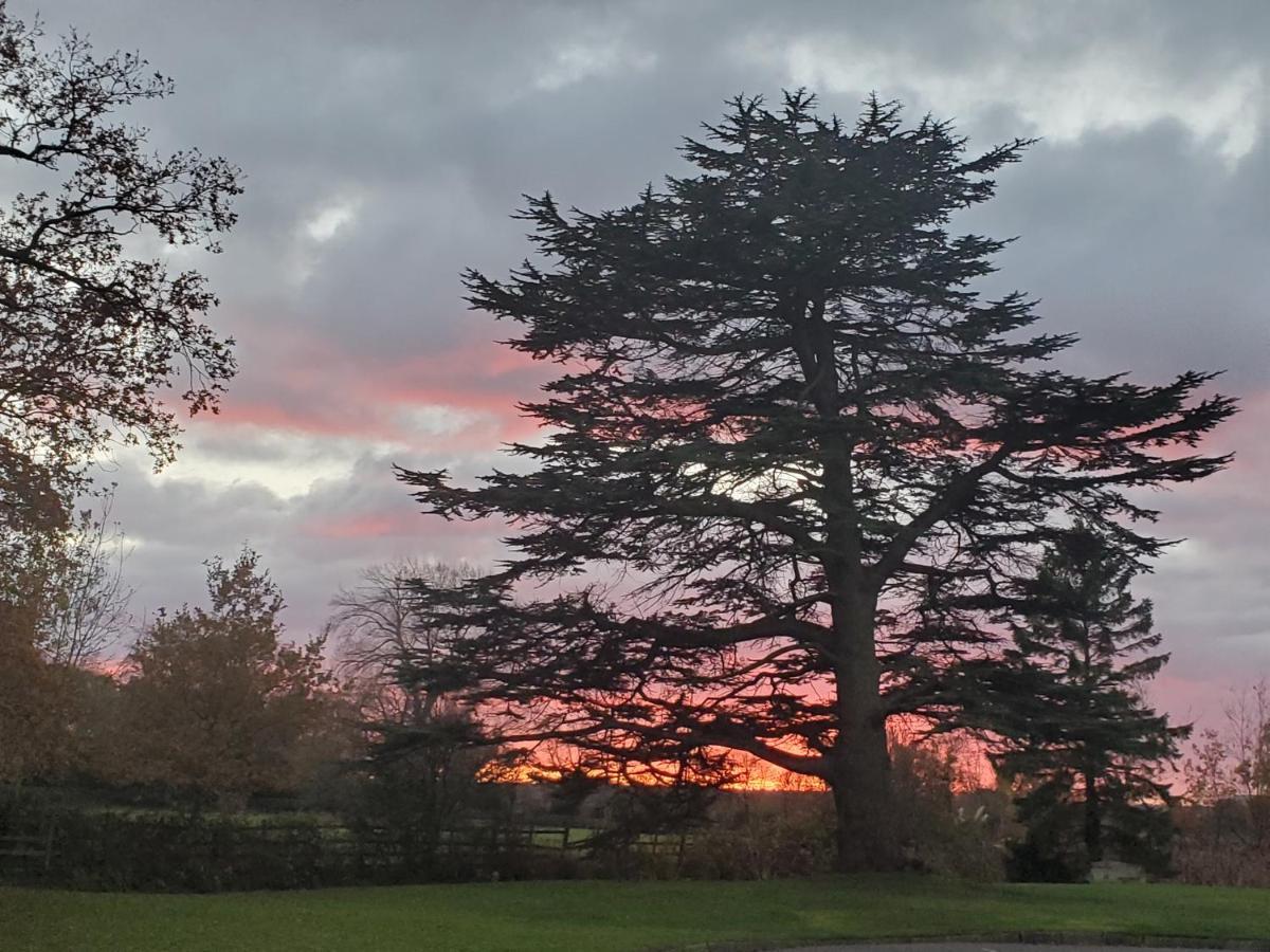 Coundon Lodge Coventry Dış mekan fotoğraf