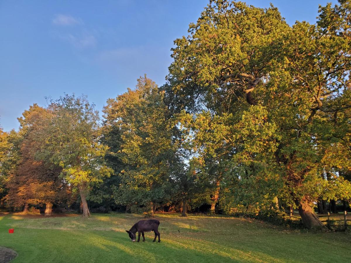 Coundon Lodge Coventry Dış mekan fotoğraf